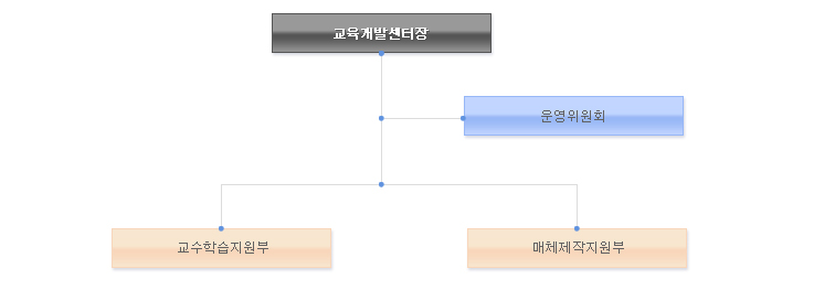 원격평생교육원장 <- 운영위원회 -> 원격평생교육팀