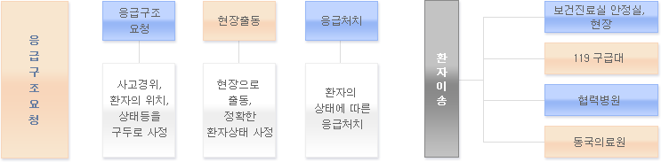 응급환자 처치 체계 구조